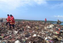 Gagasan Hilirisasi Sampah di Bali Jadi Industri