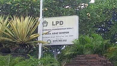 Bendesa Sempidi Sebut LPD Profesional