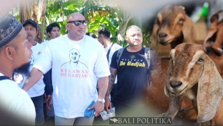 Gerindra Bali Kurbankan 75 Ekor Kambing Pada Idul Adha 1445 H