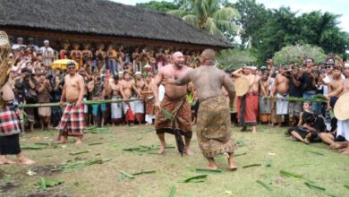 Perang Pandan, De Gadjah Rasakan Sensasi Luar Biasa