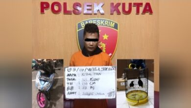 Dua Kali Nyuri Burung Beo, Rizal Ngaku Buat Dipelihara