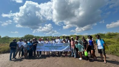 TRM Tanam 100 Mangrove di Nusa Lembongan