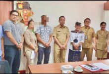 Dinas PMA