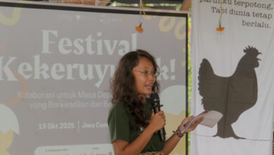 Festival Kekeruyuuuk! Hadirkan Ruang Perayaan bagi Ayam Petelur dan Kesejahteraan Hewan
