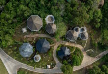 Nuanu Creative City Membangun Rumah bagi Flora Bali yang Terancam