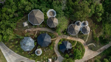 Nuanu Creative City Membangun Rumah bagi Flora Bali yang Terancam