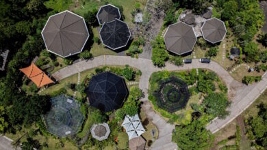 Magic Garden Berulang Tahun Sebuah Kelas Belajar di Nuanu dengan Delapan Pengalaman yang Berbeda